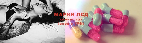 СК Дмитров