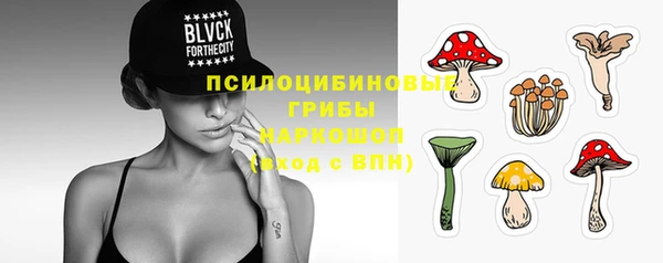 твердый Дмитриев