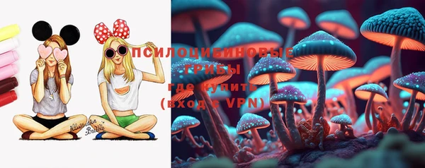 СК Дмитров