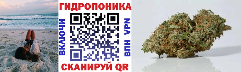 наркота  Емва  Конопля гибрид 